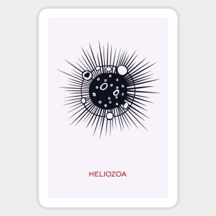 Heliozoa Sticker